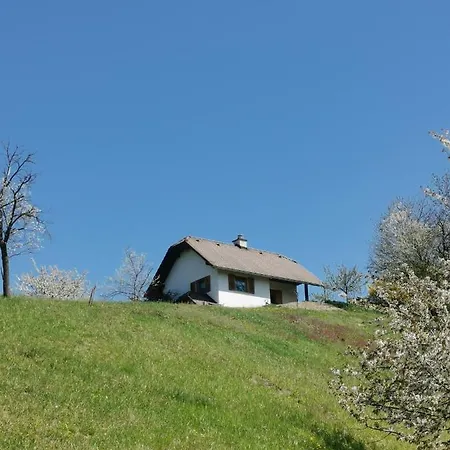 Apartma Puša
